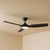 122cm 48-inch Black DC Ceiling Fan With Light Smart WiFi Remote 3 Blade 33W