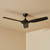 132cm 52-inch Black DC Ceiling Fan With WiFi Remote Smart 3 Blade 36W 6 Speed