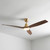 Abbott 132cm 52-inch Bronze-Walnut DC Ceiling Fan With Light Remote WiFi Smart 3 Blade 28W