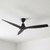 Abbott 132cm 52-inch Black DC Ceiling Fan Remote Control 3 Blade Smart 28W 6 Speed