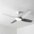 Legnante 132cm 52-inch White DC Ceiling Fan With Light Smart WiFi Remote 4 Blade 36W
