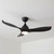 Pisano 132cm 52-inch Black DC Ceiling Fan With Light Smart WiFi Remote 3 Blade 34W