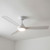 122cm 48-inch White DC Ceiling Fan With Light Remote Control 3 Blade 23W