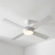 132cm 52-inch White DC Ceiling Fan With Light 4 Blade 36W