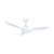 Pisano 132cm 52-inch White DC Ceiling Fan WiFi Smart Remote 3 Blade 34W 6 Speed