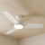 122cm 48-inch White Smart DC Ceiling Fan With Light WiFi Remote 3 Blade 33W