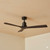 132cm 52-inch Black-Walnut DC Ceiling Fan WiFi Smart Remote 3 Blade 40W 6 Speed