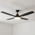 137cm 54-inch Black DC Ceiling Fan With Light WiFi Remote 4 Blade 35W