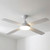 137cm 54-inch White DC Ceiling Fan With Light Remote 4 Blade 35W 6 Speed