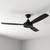 Comolli 137cm 54-inch Black DC Ceiling Fan Remote 3 Blade 35W 6 Speed