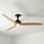 Noble 152cm 60-inch Black-Natural AC Ceiling Fan With Light 3 Speed 80W