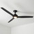Noble 152cm 60-inch Black AC Ceiling Fan With Light 3 Speed 80W