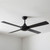 Amorim 132cm 52-inch Black AC Ceiling Fan 4 Blades 65W 3 Speed