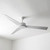 167cm 66-inch White DC Ceiling Fan With Remote Control 50W 5 Speed