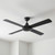122cm 48-inch Black AC Ceiling Fan 55W 3 Speed