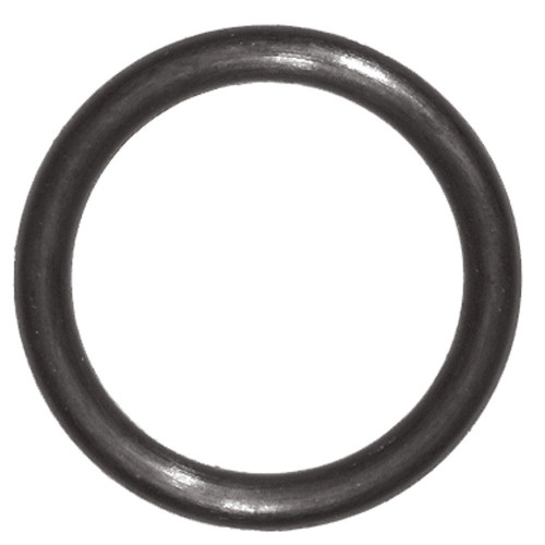 Drain Cap O-Ring | WT30X - SEE MODEL FITMENT | 91351-YB8-003