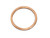 Seal-Ring 26 X 31 | 0032006