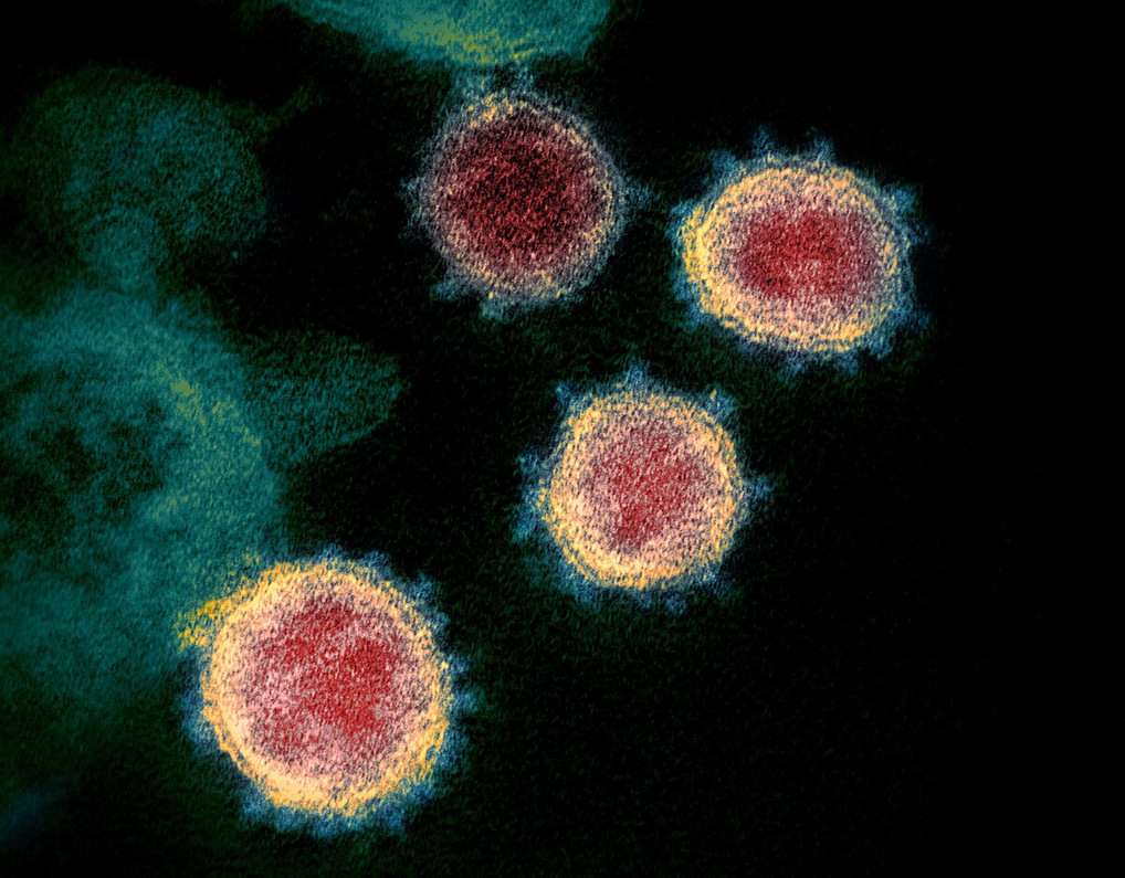 Understanding SARS-CoV-2: Unraveling the Mysteries of a Global Pandemic