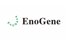 EnoGene