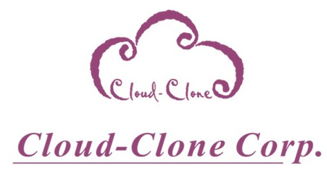 Cloud-Clone