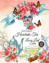 Aurora IL Celebrates Day of the Dead