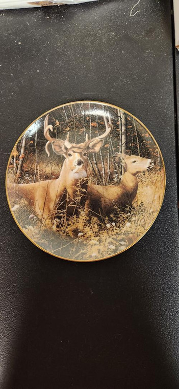 Collection Plate- Fall Retreat by Bob Travers A limited edition from the collection entitled Pride of the Wilderness ~ by The Danbury Mint ~ 1992 As you can see in the photos, the colors are vibrant and the attention to detail is nicely done making this plate a great gift choice or a nice addition for a collector.