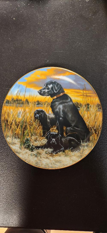 Collection Plate-

This beautiful collector's plate features the beloved Labrador Retriever, a classic sporting dog breed. Created by renowned artist Robert Christie, the plate showcases an adorable puppy dog and is perfect for any dog lover or collector. With its vibrant colors and intricate details, it is sure to be a stunning addition to any collection.

In addition to its aesthetic value, this plate also celebrates the Labrador Retriever breed, known for their loyalty, intelligence, and friendly nature. Whether you're a fan of this wonderful breed or simply appreciate fine artwork, this Labrador Retriever plate is a must-have