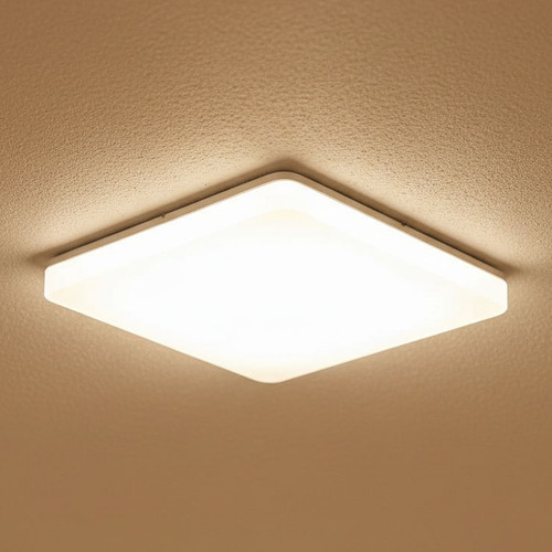 300mm Marine Grade Vandal Resistant Ceiling Light 25W Tri Colour IP54 IK08