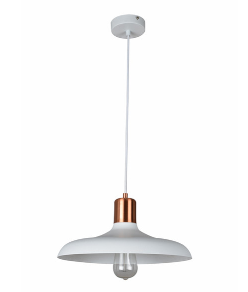 Matte White Pendant Light Hanging Dome 216mm 40W