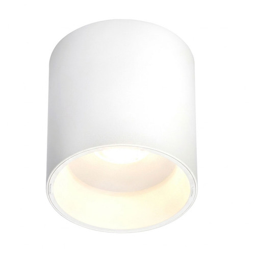 10W Surface Mount Dimmable LED Downlight in White