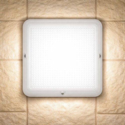 22W 4000K LED IP65 IK10 Vandal Resistant Bunker Light 2000 Lumens