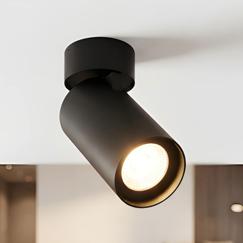 Adjustable Surface Mounted Black Downlight Tri Colour 25W