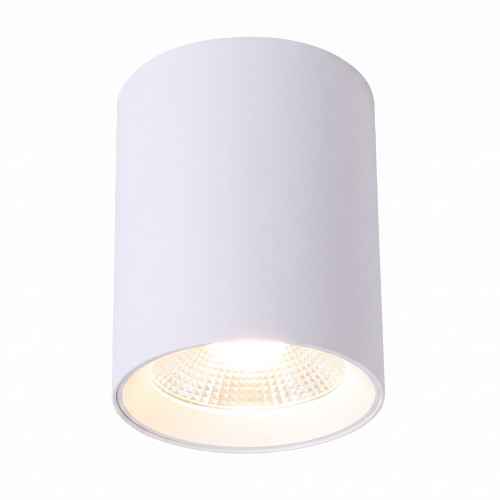 LED Downlight White 10W Tri-CCT 850lm IP44 Surface Mounted