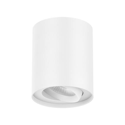 LED Downlight White Aluminium 10W 4000K 1000lm IP54 IK06 Surface Mounted Tiltable