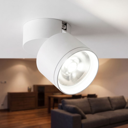 LED Downlight White 30W 2250lm 4000K Dimmable Surface Mounted Tiltable