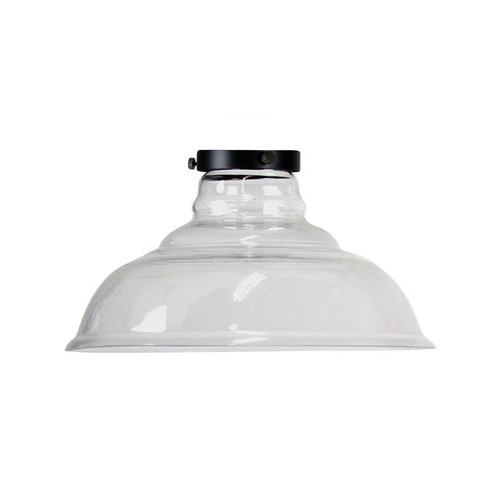 Contemporary Clear Glass Shade with Gallery