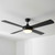 Bombieri 132cm 52-inch Black AC Ceiling Fan With Light 3 Speed