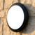 Vandal Proof Light Wall or Ceiling IK10 12W 800lm 4200K IP66 Round Black