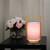 Timber and Pink Lamp 42W E27 325mm