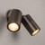 2 Light Spotlight 70W GU10 IP65 110mm Antique Brass