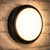 300mm Marine Grade Vandal Resistant Wall or Ceiling Light 25W 2320lm IP65 IK08 Tri Colour Round Black