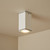 Ceiling Light Marine Grade Vandal Resistant GU10 IP54 IK08 135mm Textured White