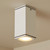 Ceiling Light Marine Grade Vandal Resistant GU10 IP54 IK08 135mm Textured White