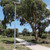 60W Solar Street Light With Motion Sensor Industrial Strength 6000lm IP65 IK08