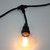 String Lights E27 250W IP44 5m Black Hanging