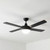 132cm 52-inch Black AC Ceiling Fan With Light 3 Speed 60W