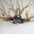 Antler Design 8 Light Pendant E14 42W