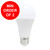 12V Standard White LED Globe E27 3000K 8W