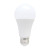 12V Standard White LED Globe E27 5000K 8W