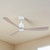 132cm 52-inch White-Washwood DC Ceiling Fan Remote Control 3 Blade 30W 6 Speed